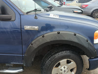 2004-2008 Ford F-150 Passenger Fender 1297367 - Oemusedautoparts1.com