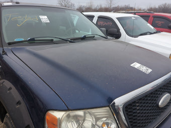 compare product 2004-2008 Ford F-150 Hood Oem