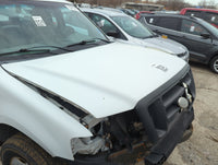 2004-2008 Ford F-150 Hood Oem 5023396 - Oemusedautoparts1.com