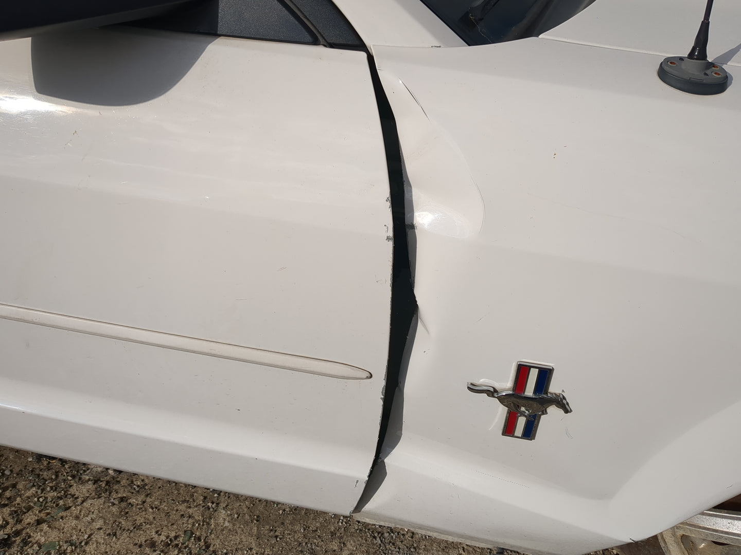 2005-2009 Ford Mustang Passenger Front Door Oem - Oemusedautoparts1.com