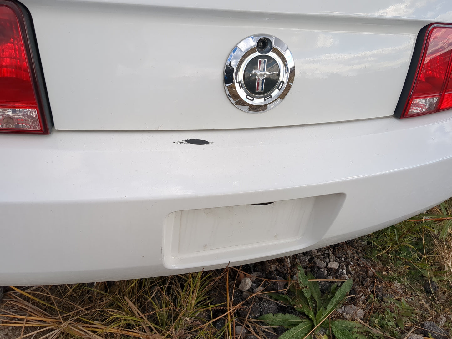 2005-2009 Ford Mustang Rear Bumper Assembly Oem - Oemusedautoparts1.com