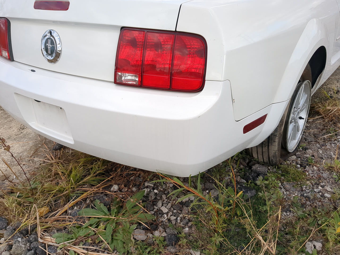 2005-2009 Ford Mustang Rear Bumper Assembly Oem - Oemusedautoparts1.com