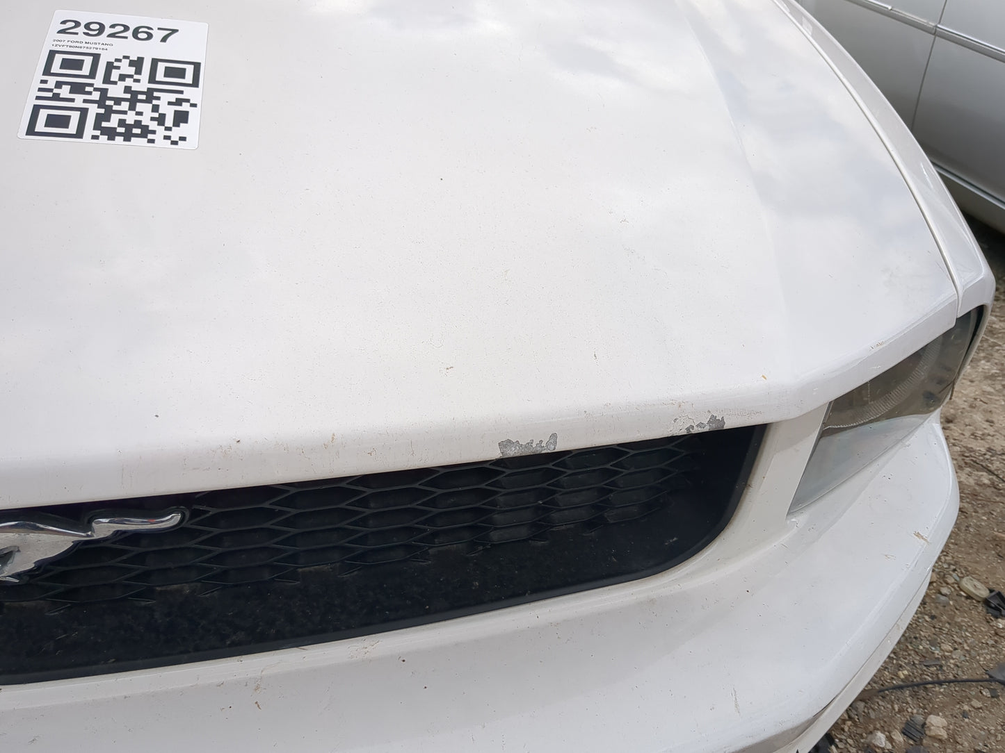 2005-2009 Ford Mustang Hood Oem - Oemusedautoparts1.com
