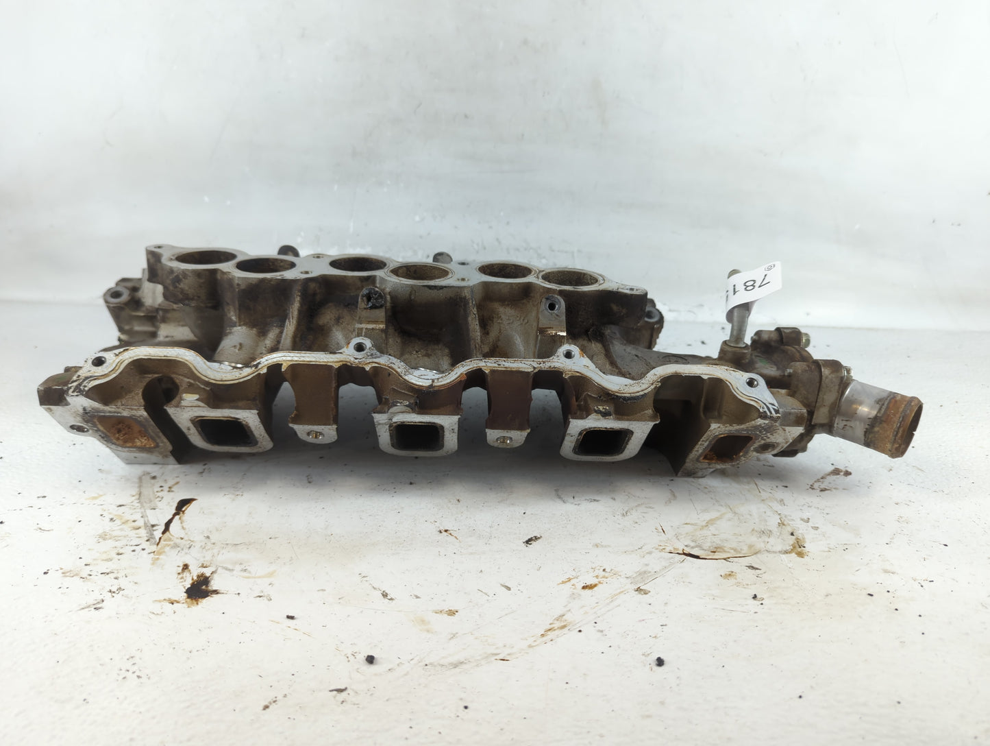 2007 Ford Taurus Driver Left Cylinder Head Valve Cover P/N:XF1E-8594-CA Fits OEM Used Auto Parts - Oemusedautoparts1.com