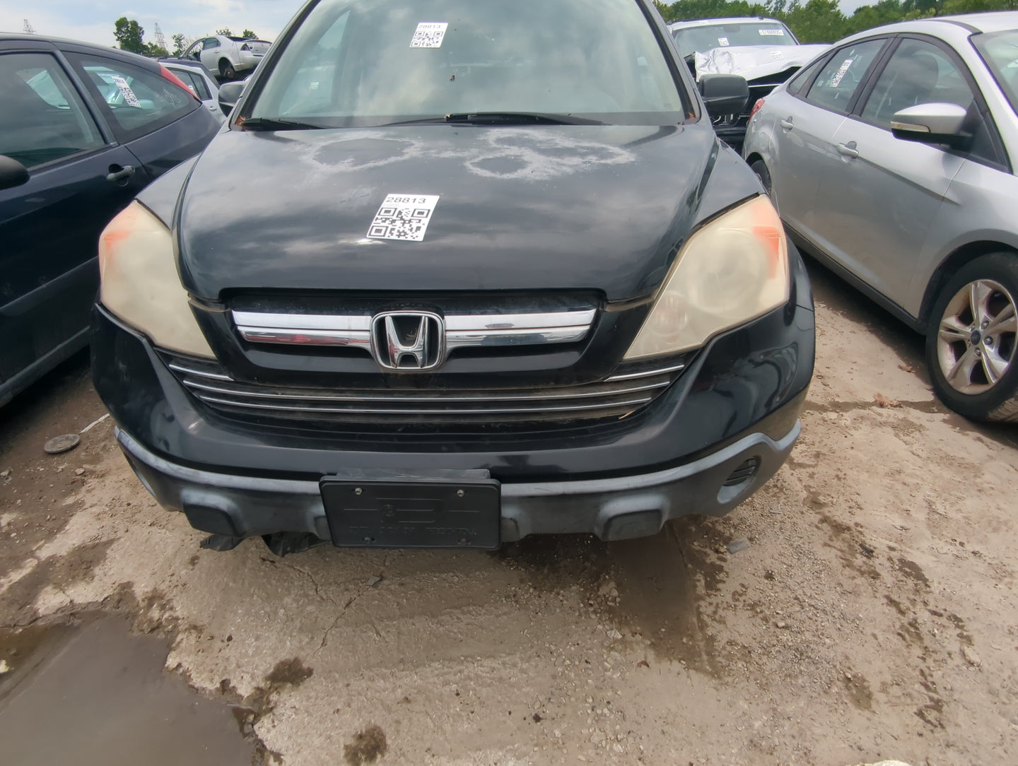 2007-2009 Honda Cr-v Front Bumper Grille - Oemusedautoparts1.com