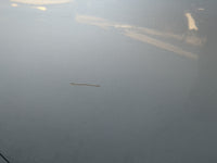 2007-2010 Hyundai Elantra Driver Rear Door Oem - Oemusedautoparts1.com