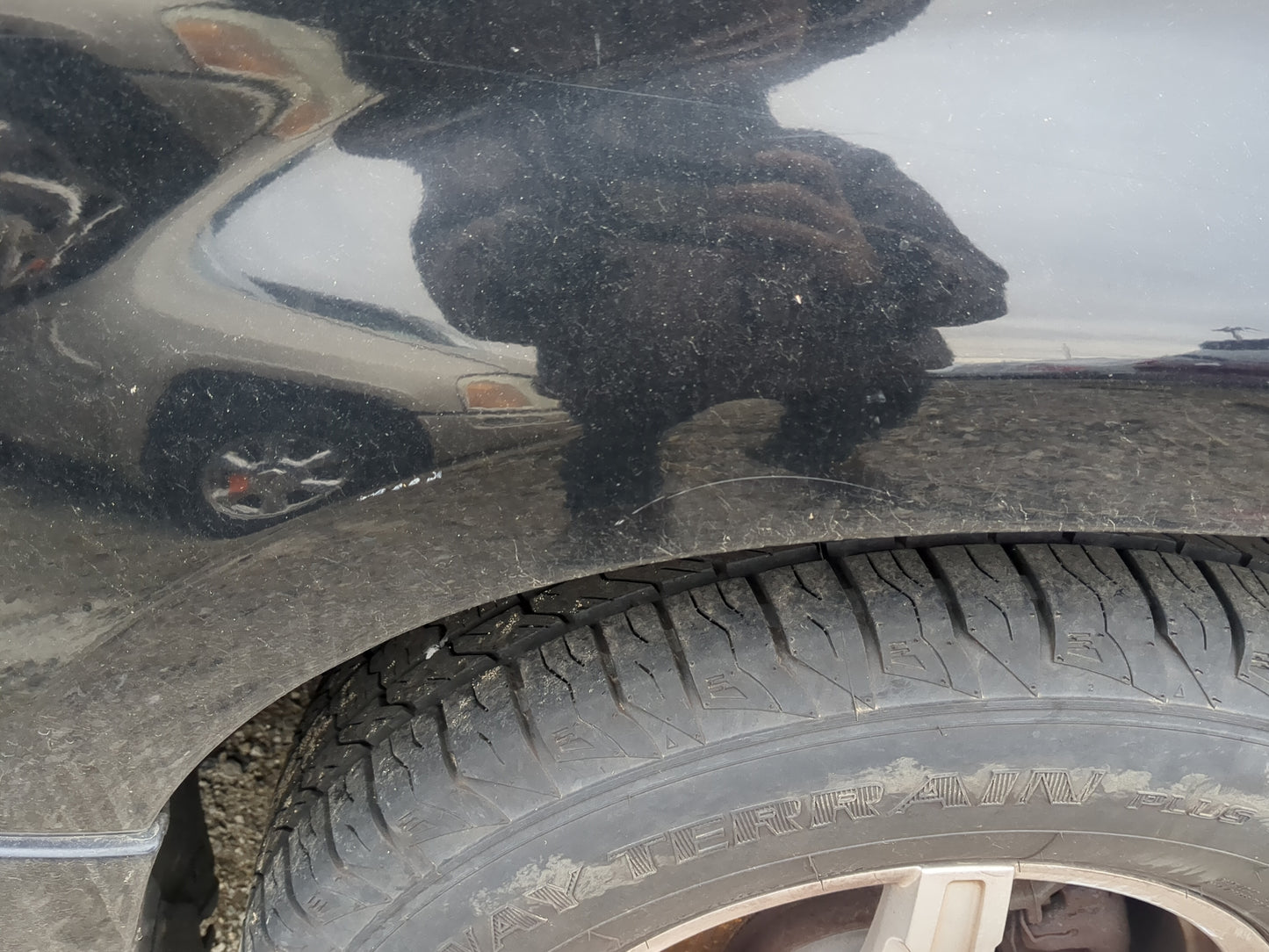 2005-2007 Mercury Mariner Passenger Fender - Oemusedautoparts1.com