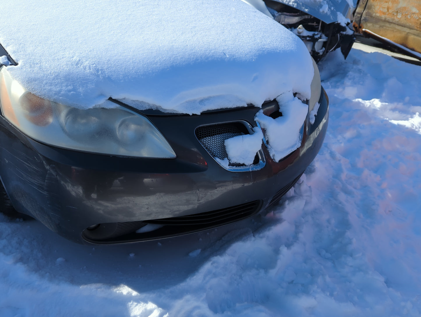 2007 Pontiac G6 Front Grille Bumper Not Included - Oemusedautoparts1.com