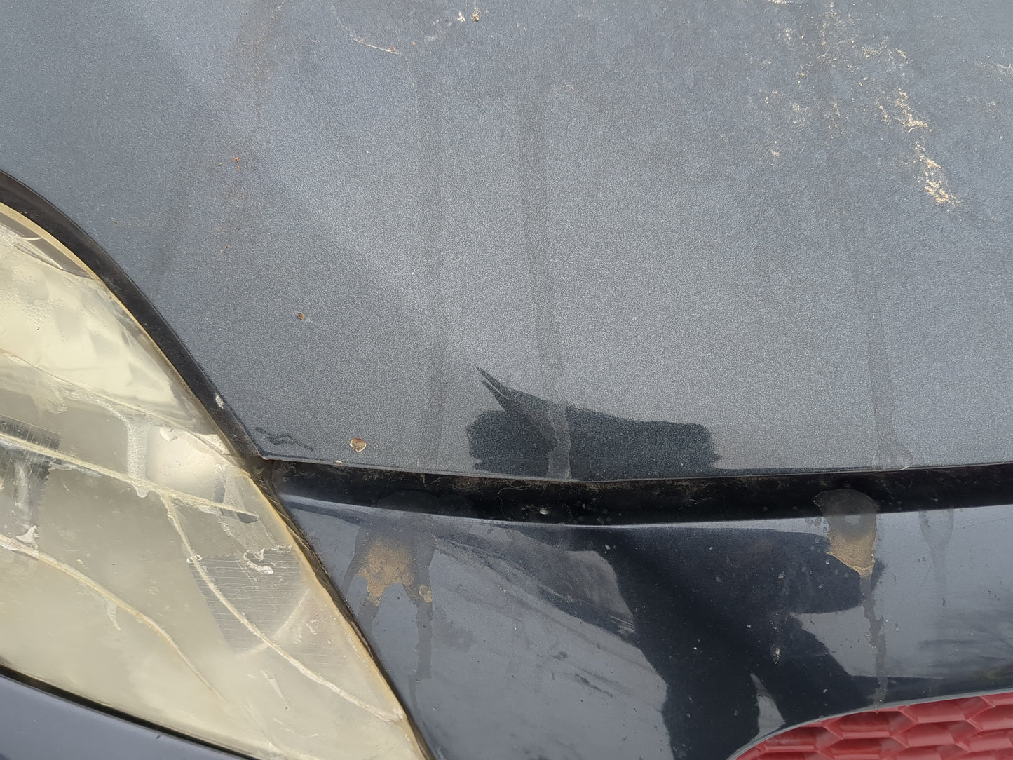 2005-2010 Scion Tc Hood Oem - Oemusedautoparts1.com