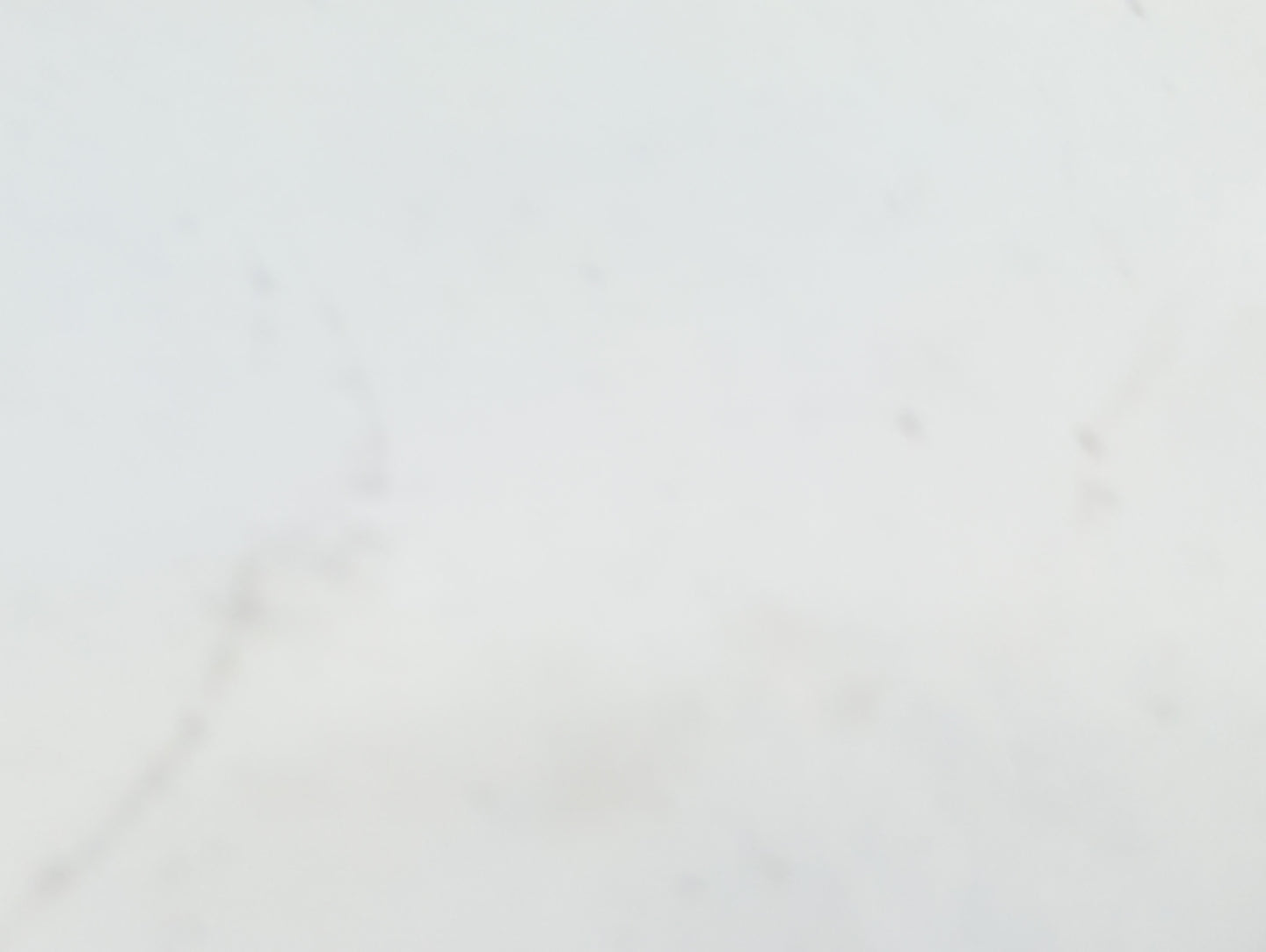 2005-2011 Volvo S40 Interior Rear View Mirror Replacement OEM P/N:E11025476 Fits Fits 2005 2006 2007 2008 2009 2010 2011 201