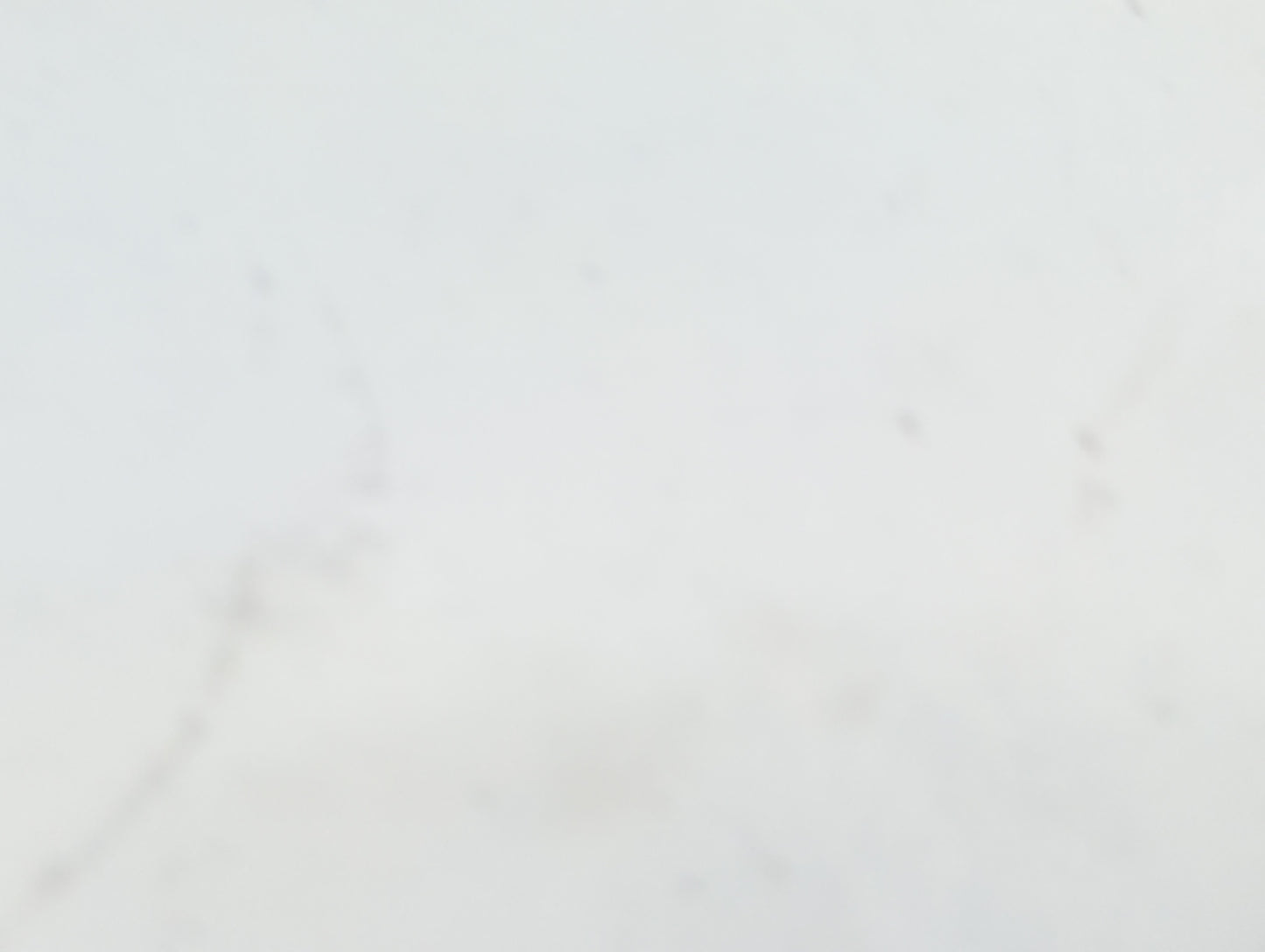 2005-2011 Volvo S40 Interior Rear View Mirror Replacement OEM P/N:E11025476 Fits Fits 2005 2006 2007 2008 2009 2010 2011 201