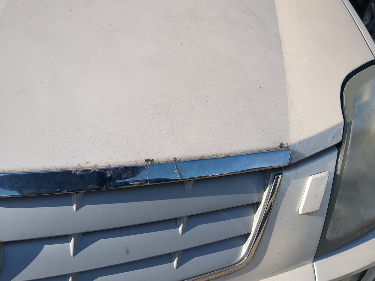 2004-2009 Cadillac Srx Hood Oem - Oemusedautoparts1.com