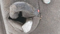 2008 Dodge Grand Caravan Driver Side View Mirror - Left Door Mirror OEM Used - Oemusedautoparts1.com