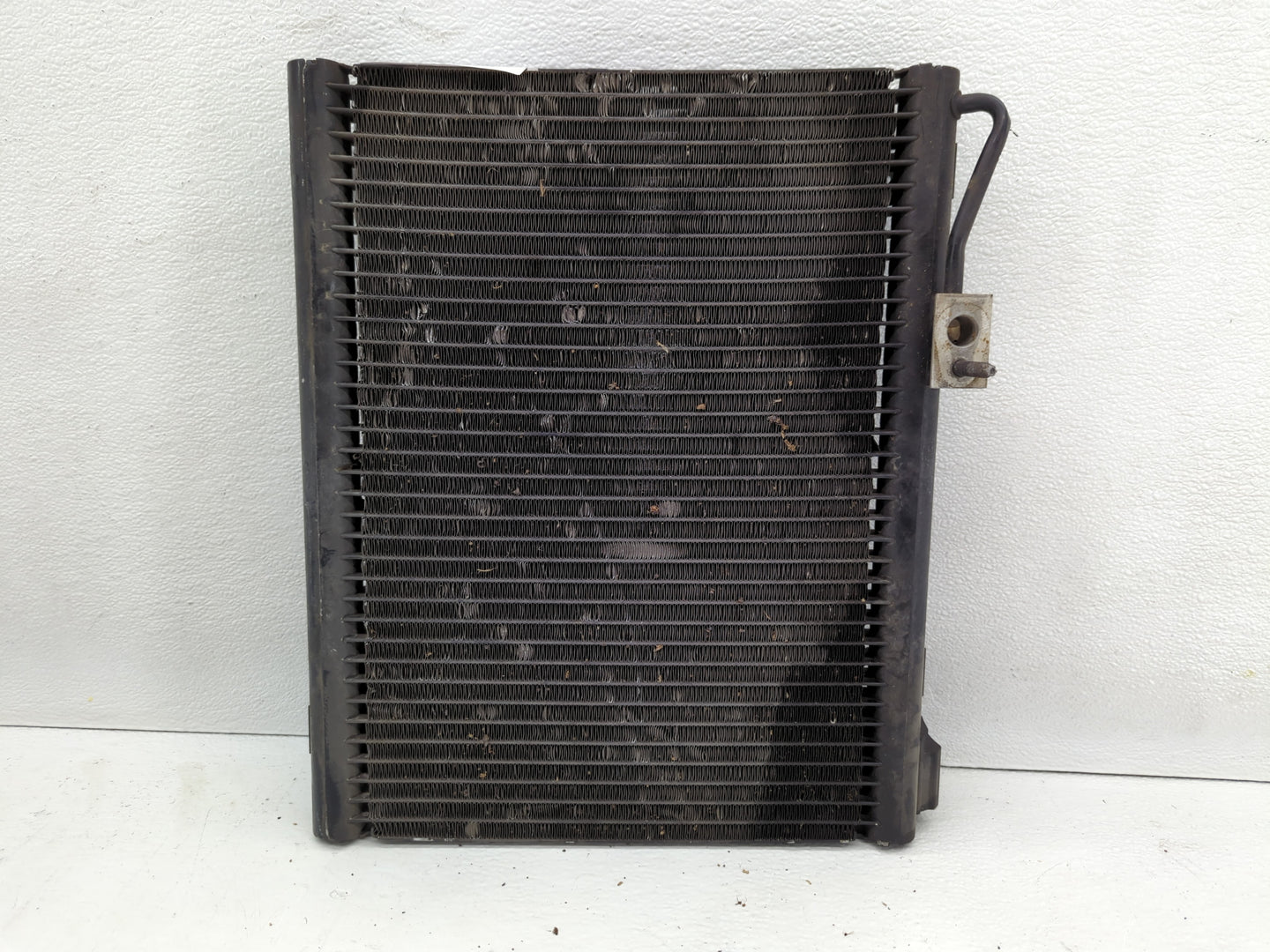 2006-2008 Dodge Ram 1500 Undefined Black - Oemusedautoparts1.com