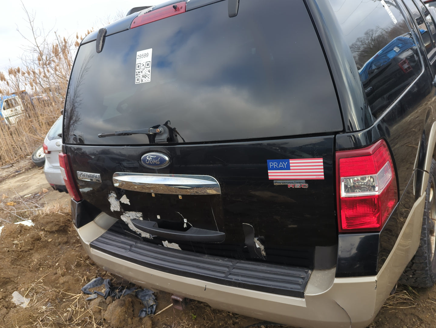 2008 Ford Expedition Trunk/decklid/hatch/tailgate Oem - Oemusedautoparts1.com