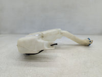 2008-2012 Honda Accord Windshield Washer Fluid Reservoir Bottle Oem - Oemusedautoparts1.com