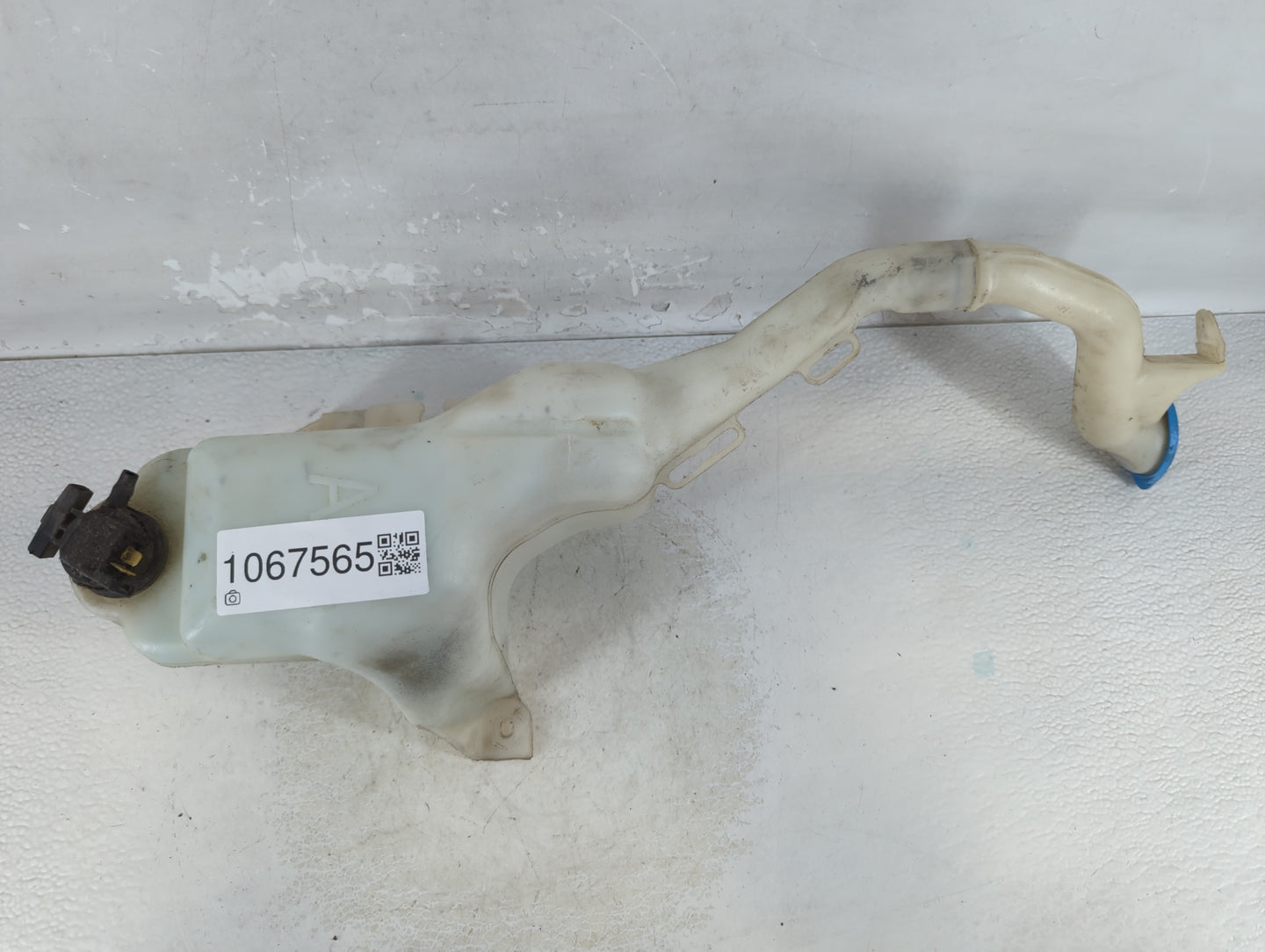 2006-2011 Honda Civic Windshield Washer Fluid Reservoir Bottle Oem - Oemusedautoparts1.com