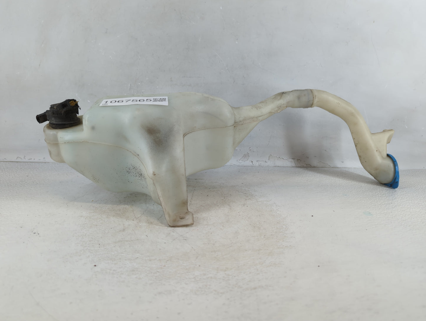 2006-2011 Honda Civic Windshield Washer Fluid Reservoir Bottle Oem - Oemusedautoparts1.com