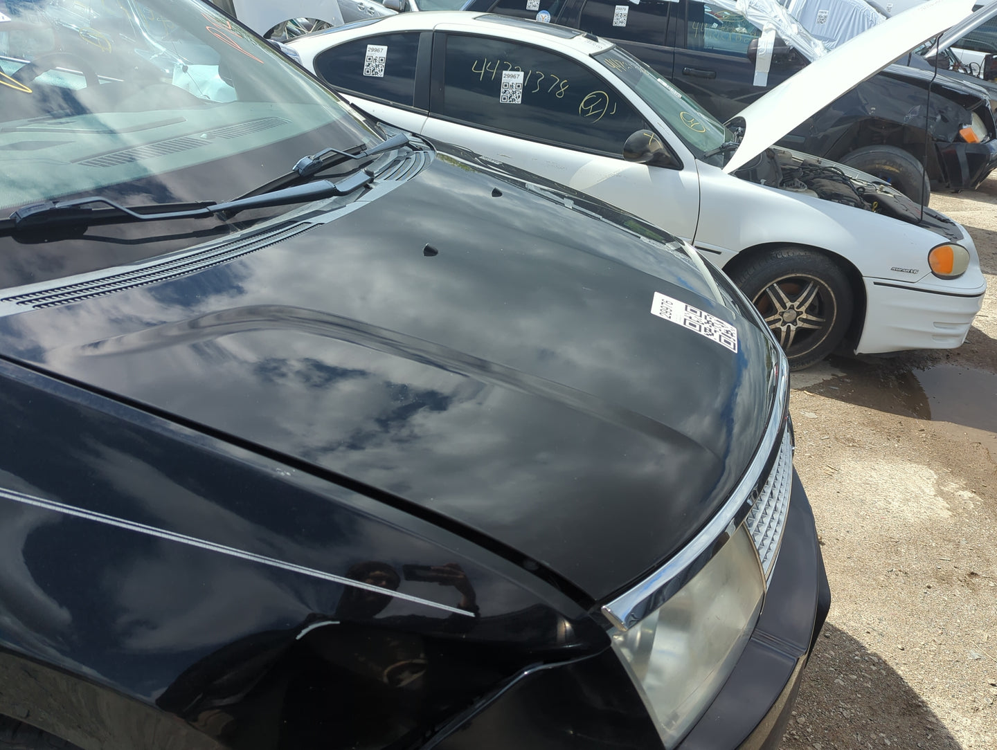2007-2010 Lincoln Mkx Hood Oem - Oemusedautoparts1.com