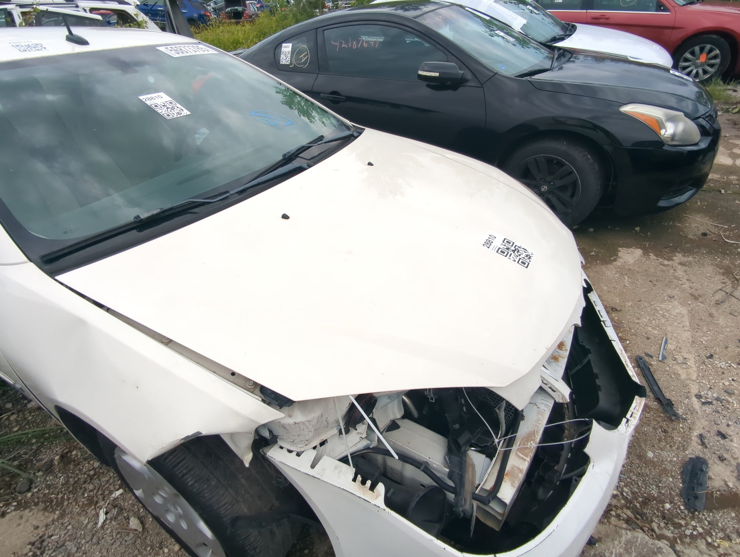 2005-2010 Pontiac G6 Hood Oem - Oemusedautoparts1.com