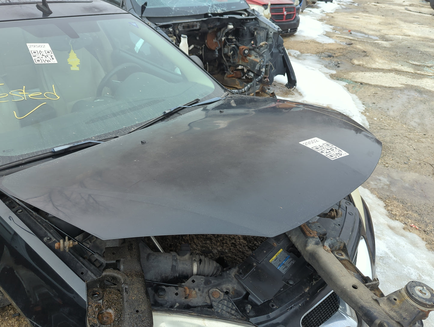 2005-2010 Pontiac G6 Hood Oem 1268852 - Oemusedautoparts1.com