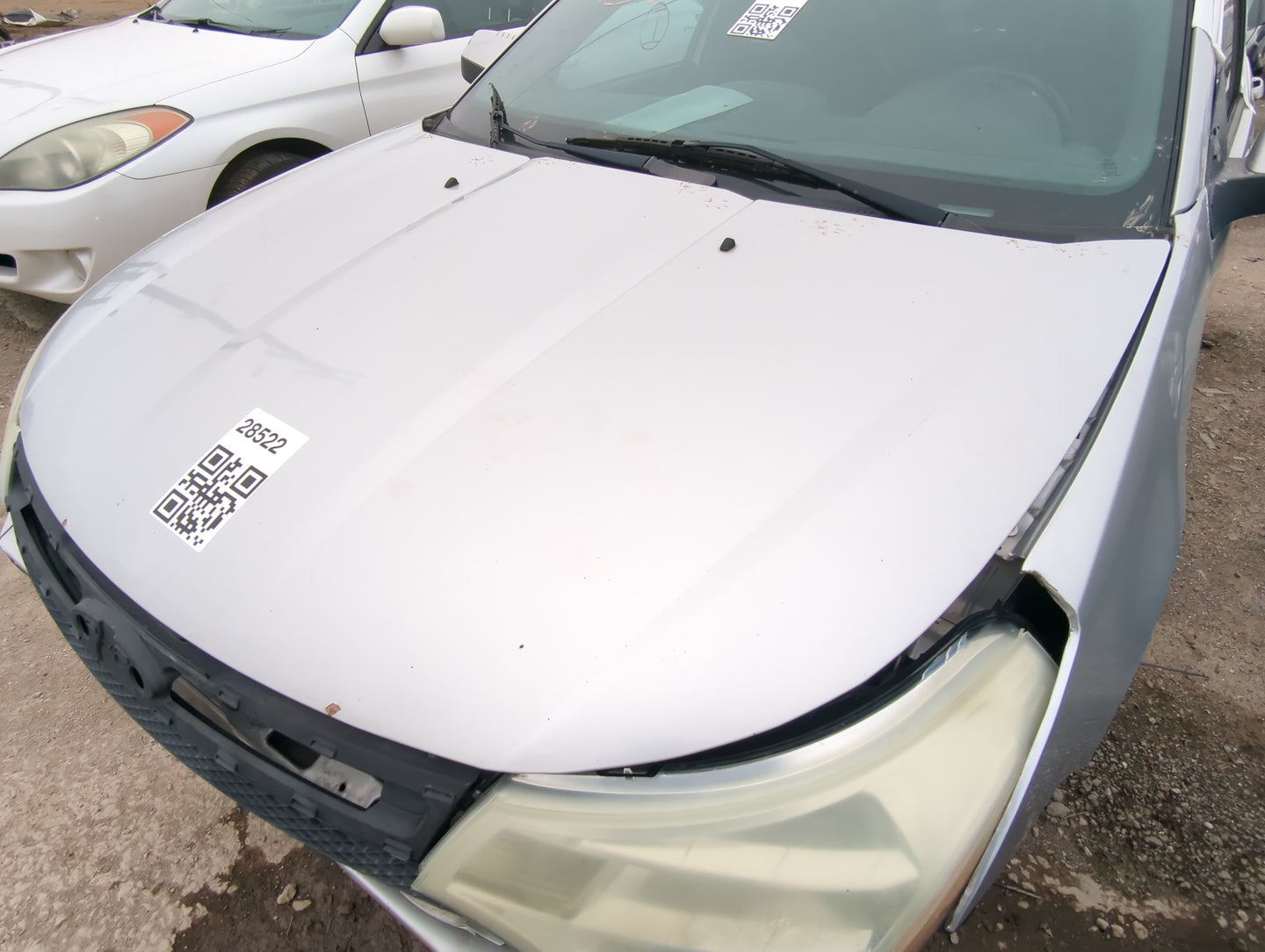 2008-2011 Ford Focus Hood Oem - Oemusedautoparts1.com