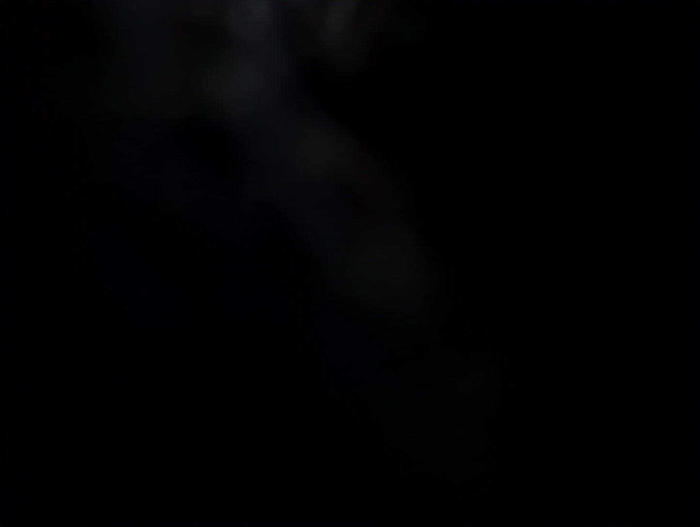 2008-2011 Ford Focus Front Grille Bumper Not Included - Oemusedautoparts1.com