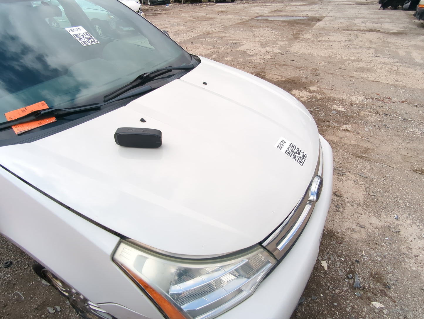 2009 Ford Focus Hood Oem - Oemusedautoparts1.com
