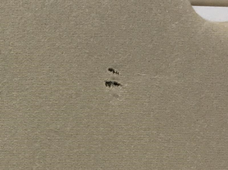 2009 Ford Taurus X Sun Visor Shade Replacement Driver Left Mirror Fits Fits 2008 OEM Used Auto Parts - Oemusedautoparts1.com