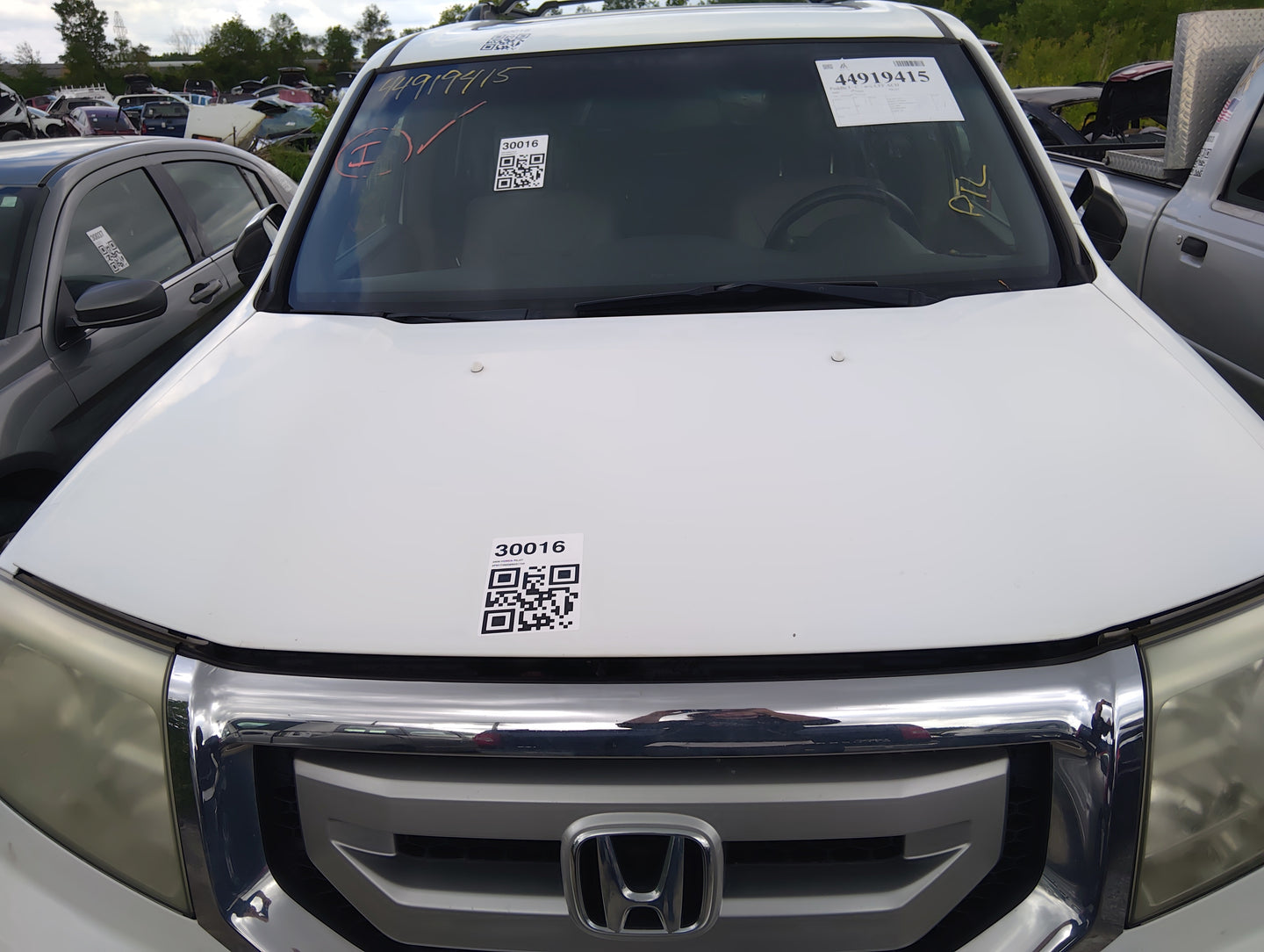 2009-2015 Honda Pilot Hood Oem - Oemusedautoparts1.com