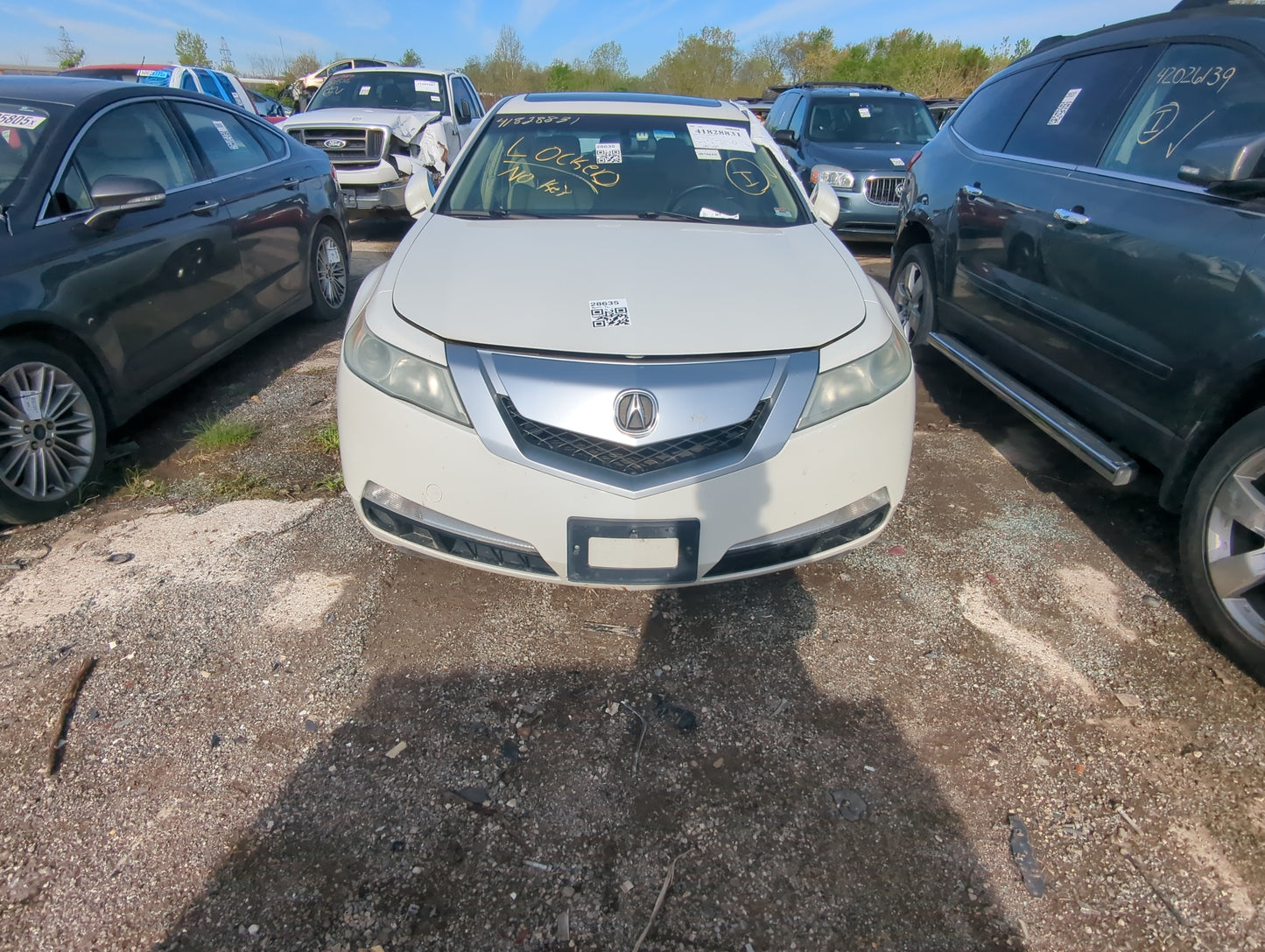 2009-2011 Acura Tl Front Bumper - Oem - Oemusedautoparts1.com