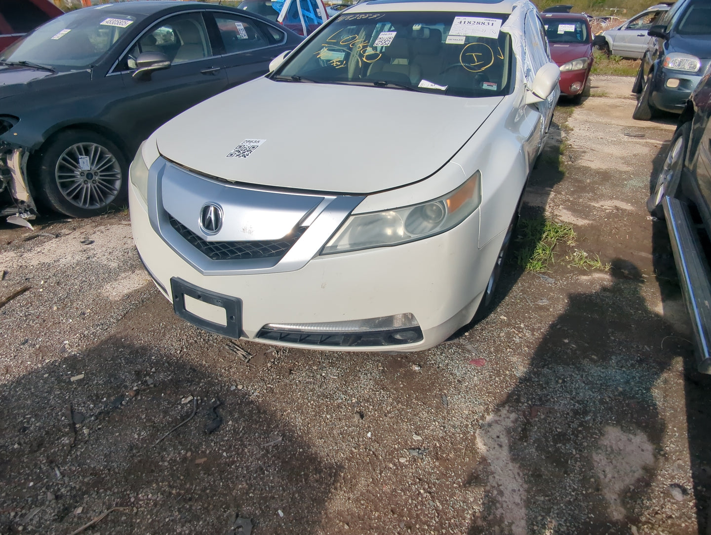 2009-2011 Acura Tl Front Bumper - Oem - Oemusedautoparts1.com