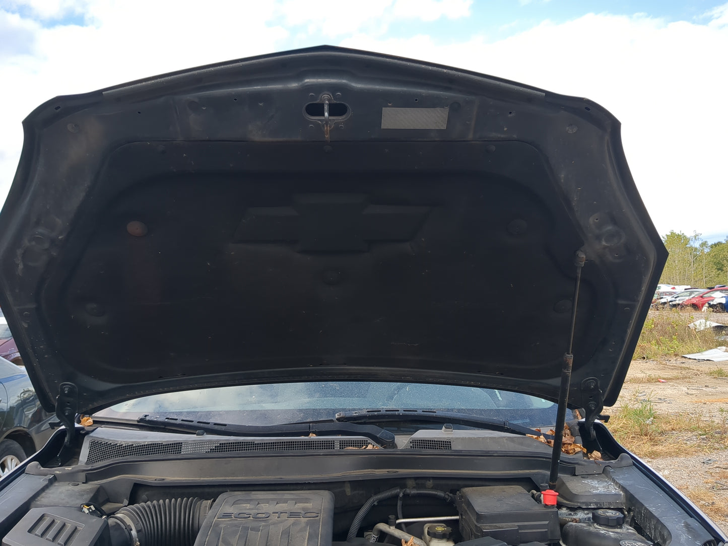2010-2017 Chevrolet Equinox Hood Oem 1189729 - Oemusedautoparts1.com