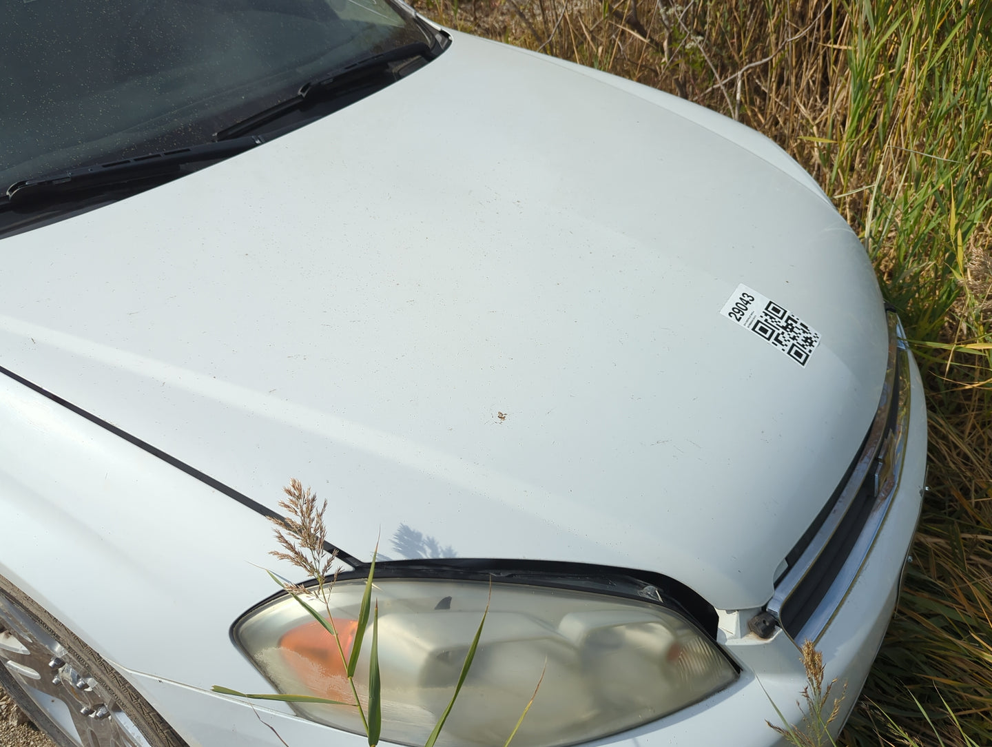 2006-2016 Chevrolet Impala Hood Oem - Oemusedautoparts1.com
