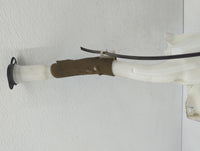 Chevrolet Traverse Radiator Coolant Overflow Expansion Tank Bottle - Oemusedautoparts1.com
