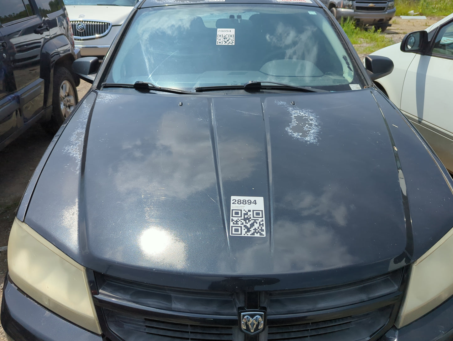 2008-2014 Dodge Avenger Hood Oem - Oemusedautoparts1.com