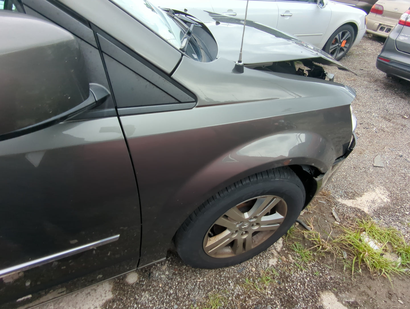 2008-2020 Dodge Grand Caravan Passenger Fender - Oemusedautoparts1.com