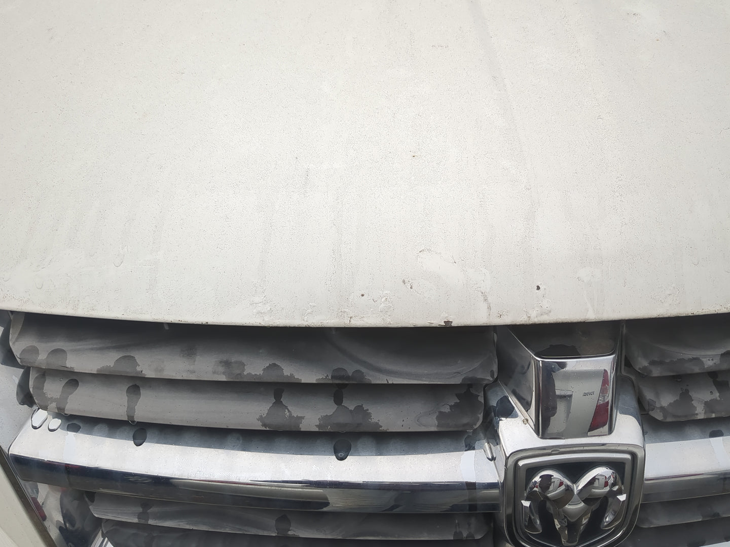2008-2010 Dodge Grand Caravan Hood Oem - Oemusedautoparts1.com