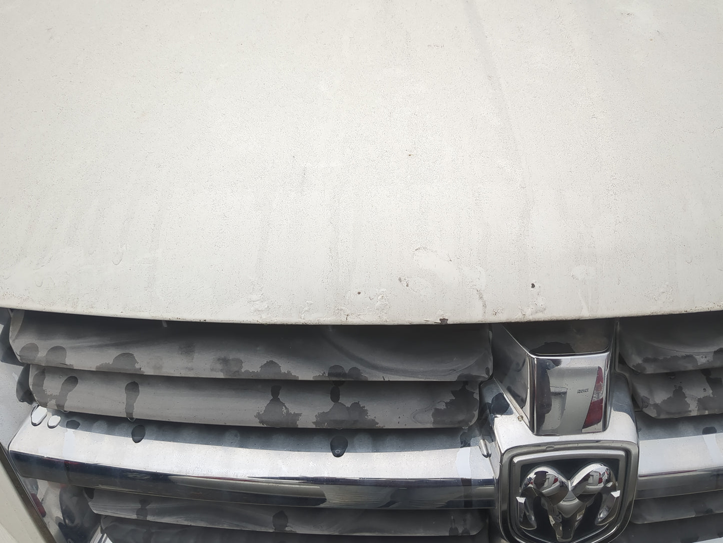 2008-2010 Dodge Grand Caravan Hood Oem - Oemusedautoparts1.com