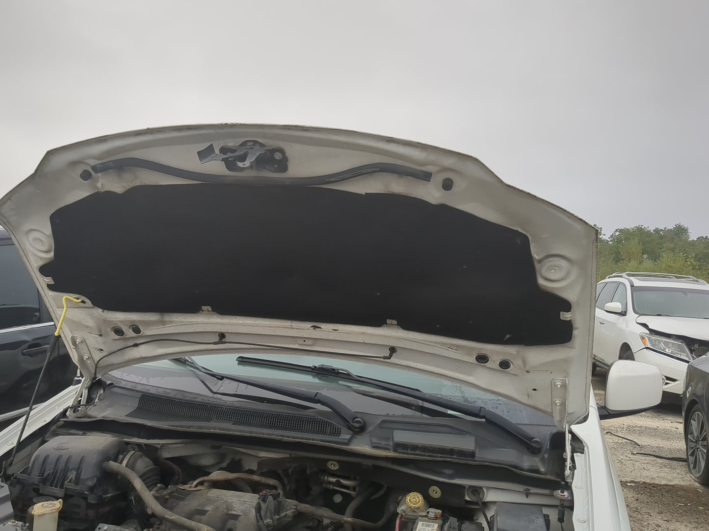 2008-2010 Dodge Grand Caravan Hood Oem - Oemusedautoparts1.com