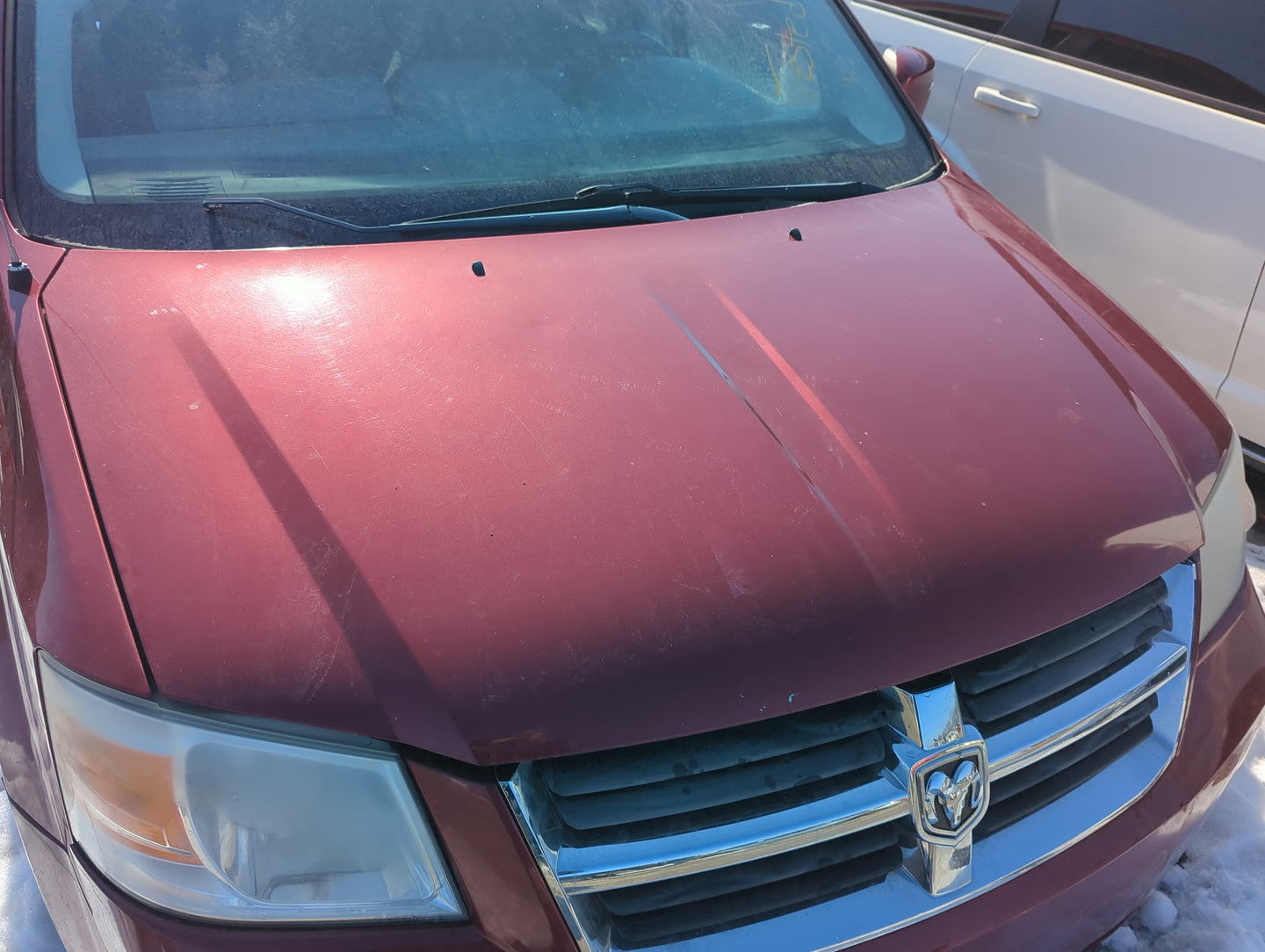 2008-2010 Dodge Grand Caravan Hood Oem 1268249 - Oemusedautoparts1.com