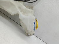 2010 Dodge Journey Windshield Washer Fluid Reservoir Bottle Oem - Oemusedautoparts1.com