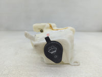 2007-2014 Ford Edge Windshield Washer Fluid Reservoir Bottle Oem - Oemusedautoparts1.com