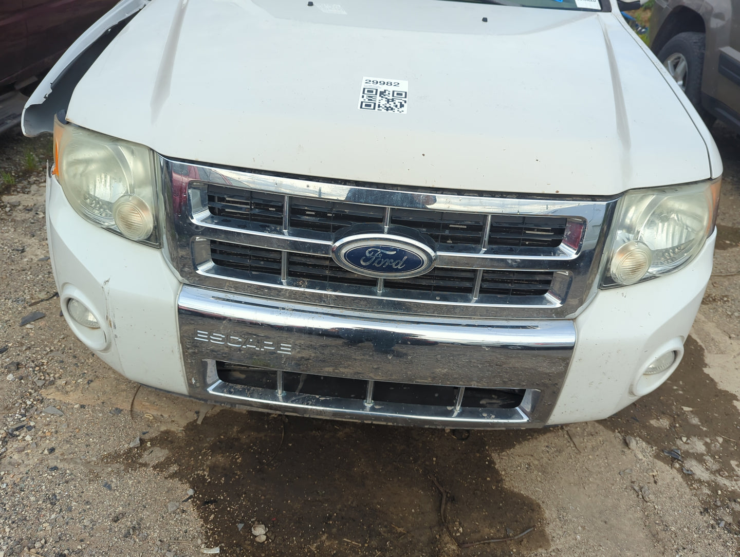 2008-2012 Ford Escape Front Grille Bumper Not Included 5022066 - Oemusedautoparts1.com