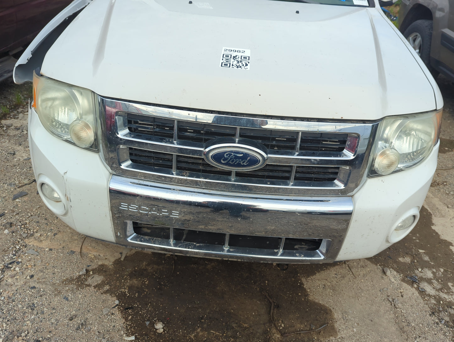 2008-2012 Ford Escape Front Grille Bumper Not Included 5022066 - Oemusedautoparts1.com