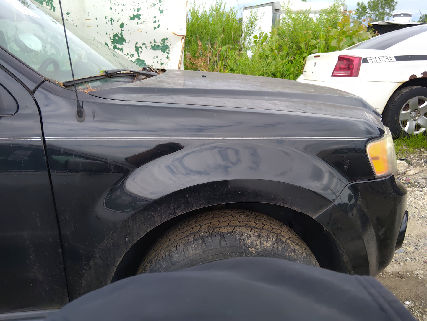2008-2012 Ford Escape Passenger Fender 5036830 - Oemusedautoparts1.com