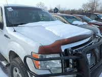 2009-2014 Ford F-150 Hood Oem 1363955 - Oemusedautoparts1.com