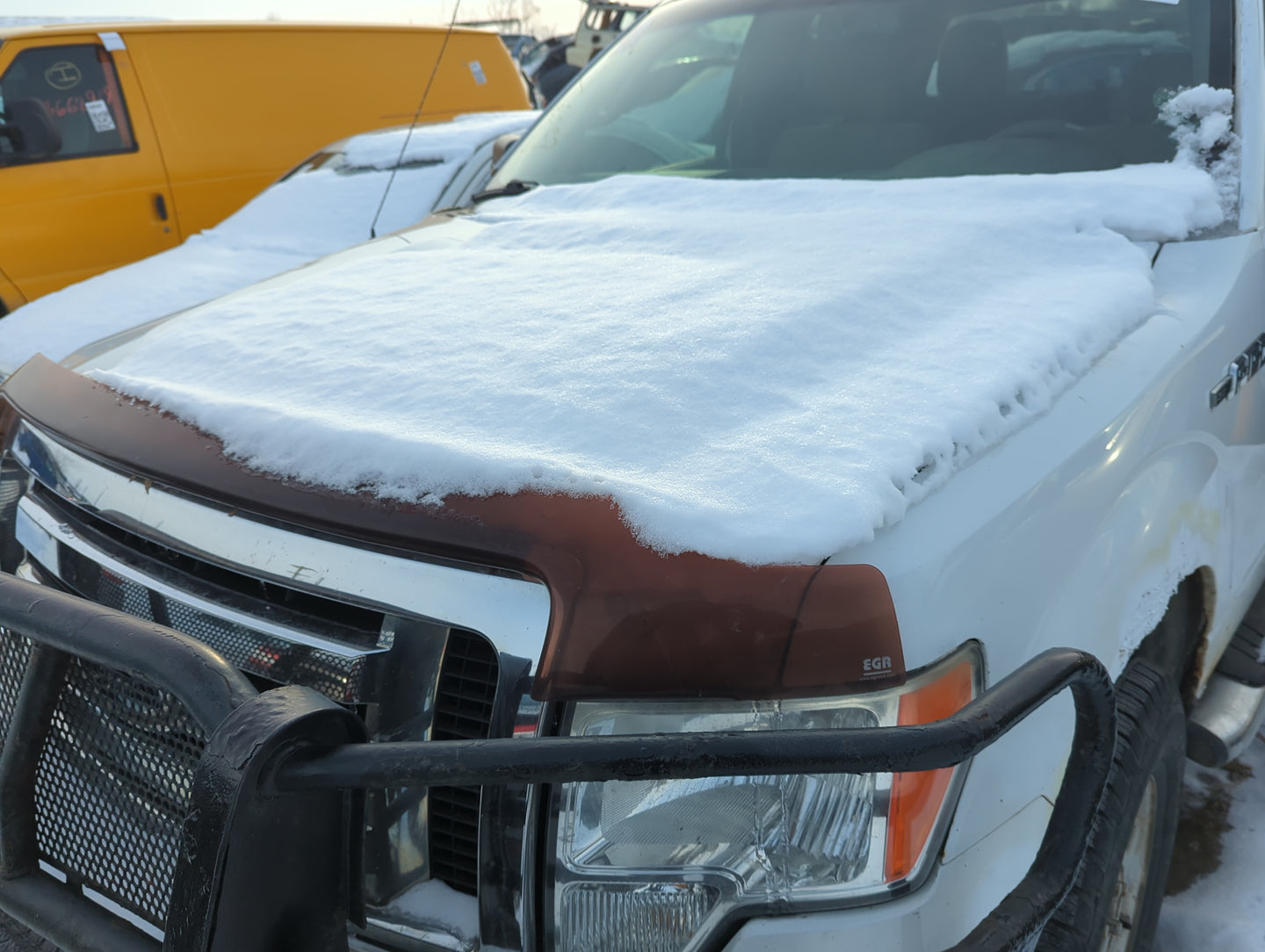 2009-2014 Ford F-150 Hood Oem 1363955 - Oemusedautoparts1.com