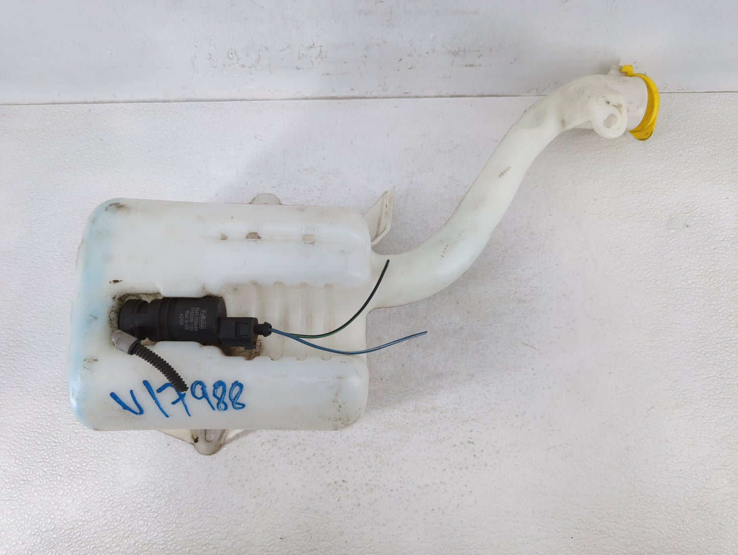 2008-2011 Ford Focus Windshield Washer Fluid Reservoir Bottle Oem - Oemusedautoparts1.com