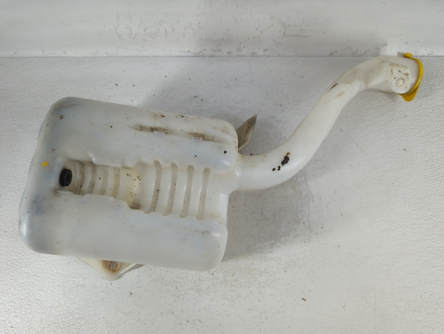 2008-2011 Ford Focus Windshield Washer Fluid Reservoir Bottle Oem - Oemusedautoparts1.com